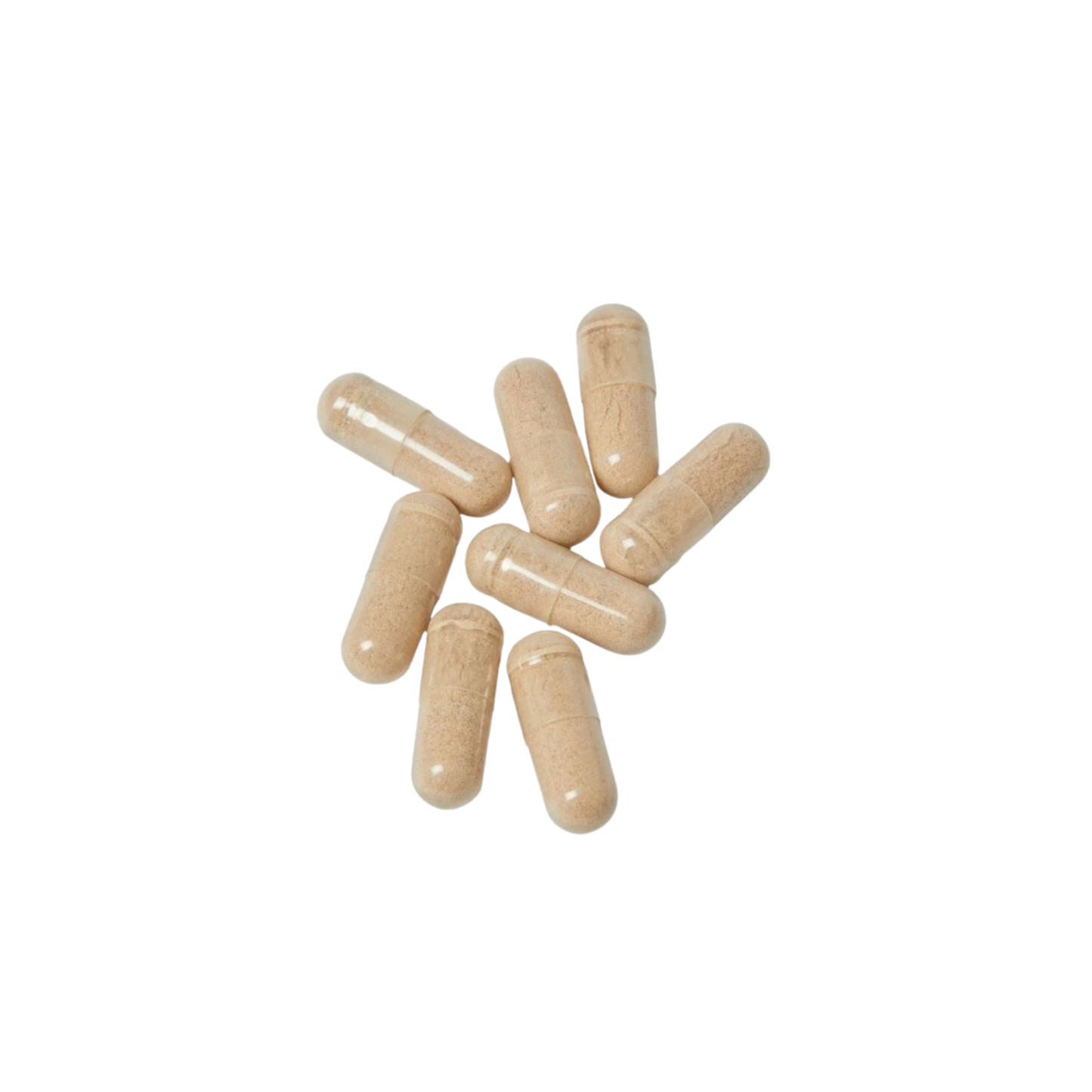 Brain Support Complex