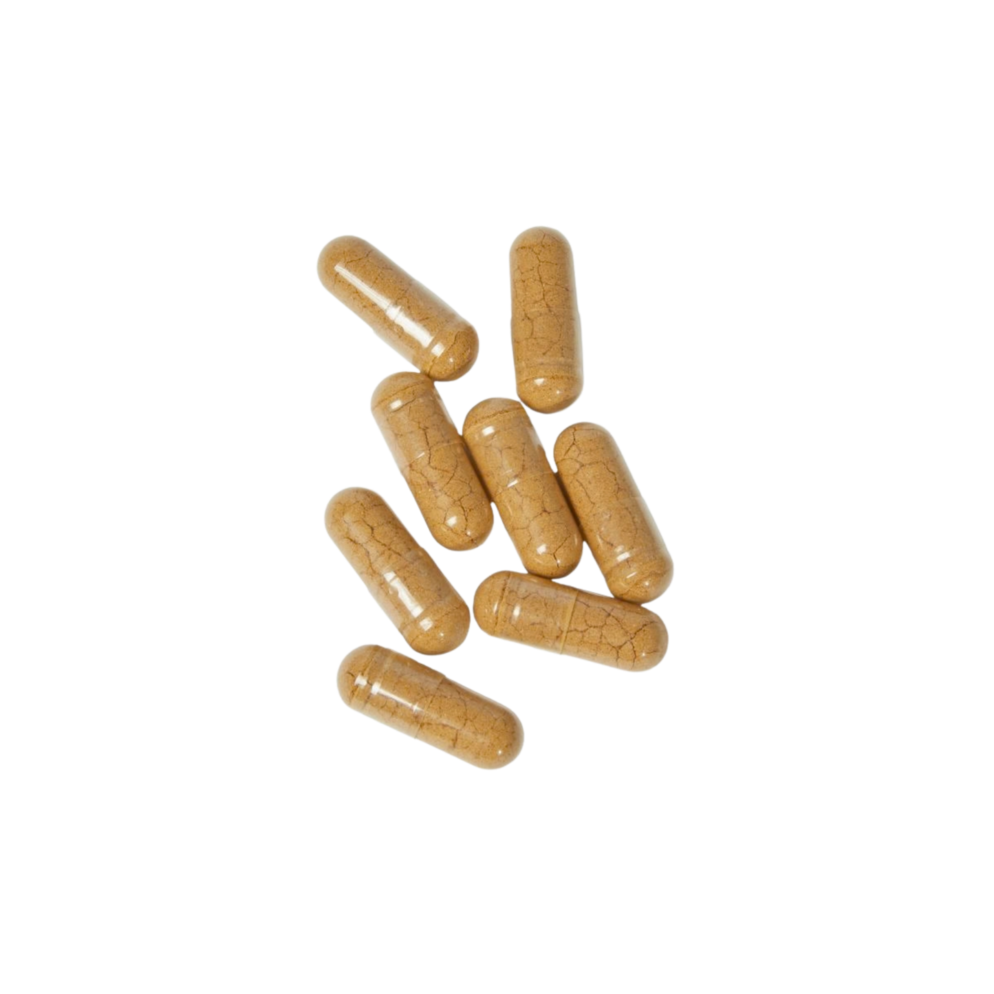 Mushroom Blend